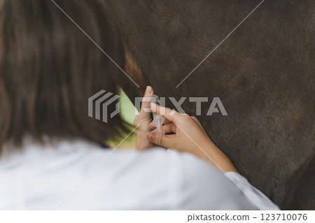 馬 馬兒 射入 123710076