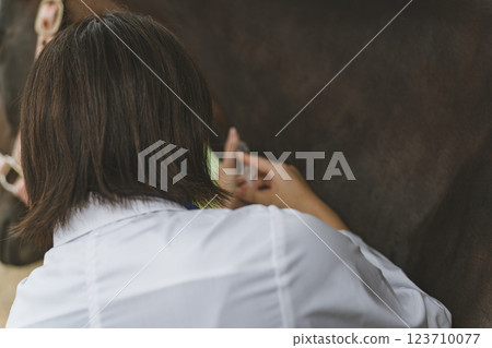 馬 馬兒 射入 123710077