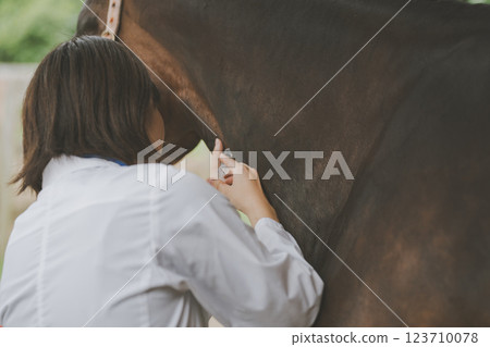馬 馬兒 射入 123710078