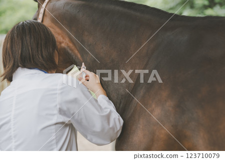 馬 馬兒 射入 123710079
