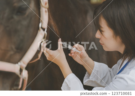 horse, injecting, injection 123710081