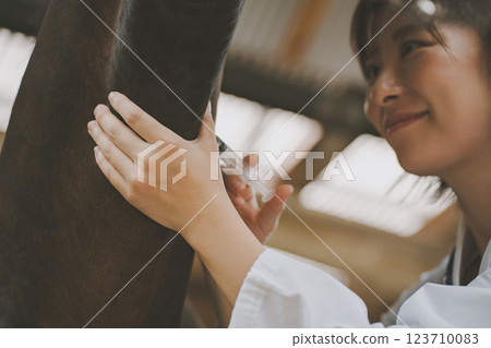 horse, injecting, injection 123710083