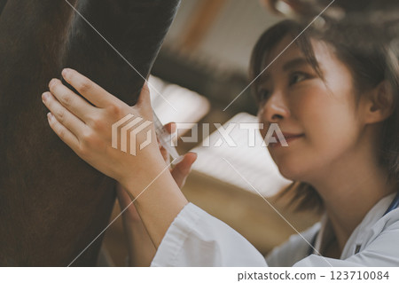 馬 馬兒 射入 123710084
