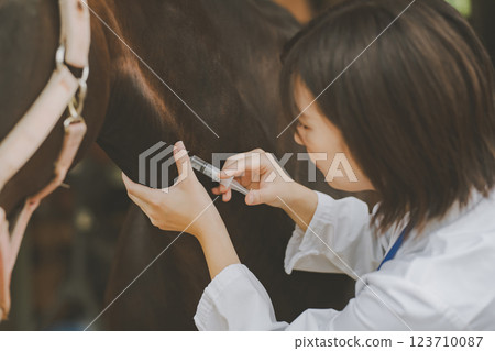 馬 馬兒 射入 123710087