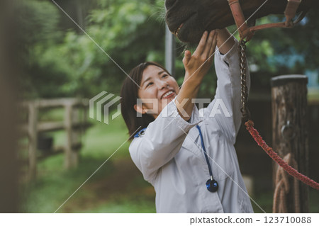 horse, veterinarian, veterinary 123710088
