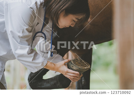 veterinarian, veterinary, veterinary surgeon 123710092