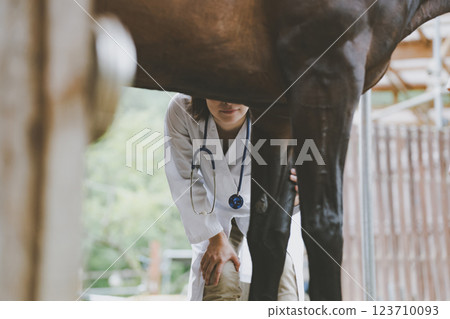 veterinarian, veterinary, veterinary surgeon 123710093