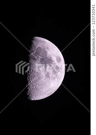 2025 年 3 月 7 日，月齡 7.42，19:55，上弦月 123710341