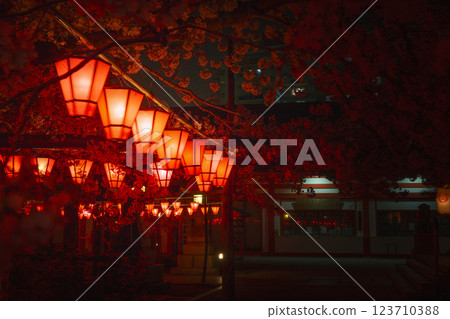 土佐稻荷神社夜櫻點亮夜櫻祭 [大阪府西區] 123710388