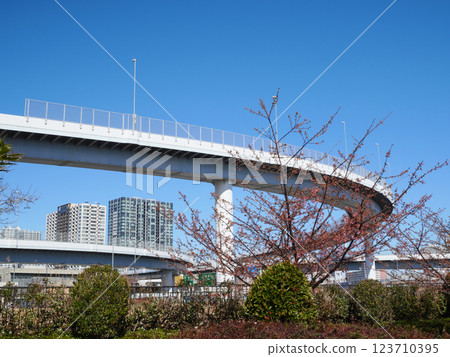 Scenery with the Metropolitan Expressway | Ariake 123710395