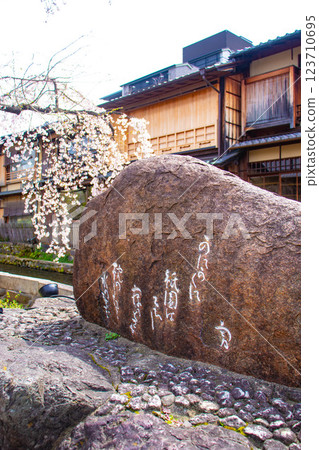 【京都風景】祗園白川櫻花綏爛 123710695