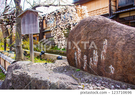 【京都風景】祗園白川櫻花綏爛 【京都風景】祗園白川櫻花綏爛 123710696