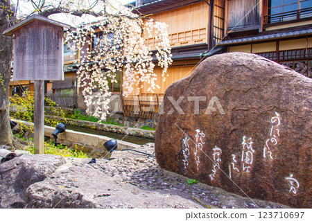 【京都風景】祗園白川櫻花綏爛 123710697