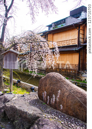 【京都風景】祗園白川櫻花綏爛 123710703