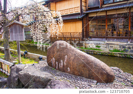 [Kyoto scenery] Gion Shirakawa cherry blossoms are gorgeous 123710705