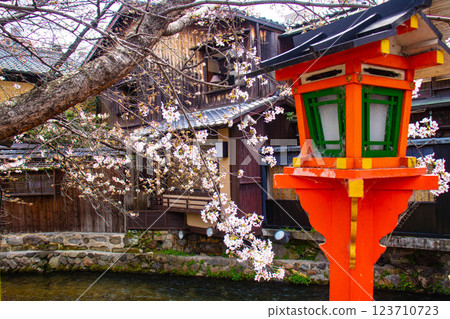 [Kyoto scenery] Gion Shirakawa cherry blossoms are gorgeous 123710723