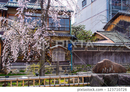 【京都風景】祗園白川櫻花綏爛 123710726