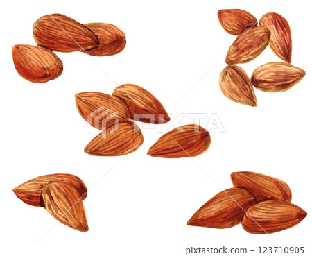 Almond material set watercolor material 123710905