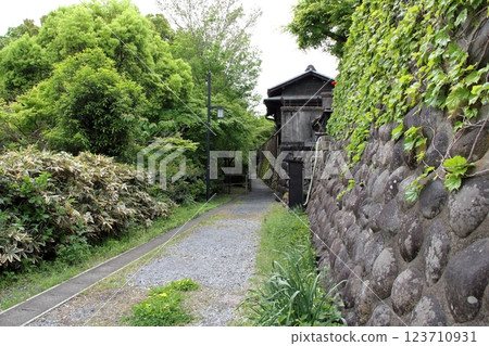 織田信長城下町的春天 31（岐阜公園） 123710931