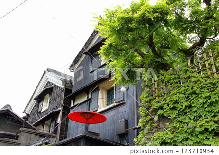 織田信長的春天的城下町34（岐阜公園） 123710934