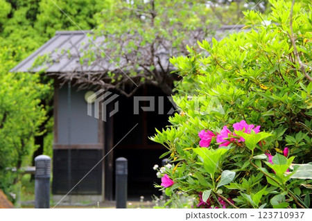 織田信長城下町的春天 37（岐阜公園） 123710937