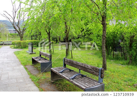Spring in Oda Nobunaga's Castle Town 39 (Gifu Park) 123710939