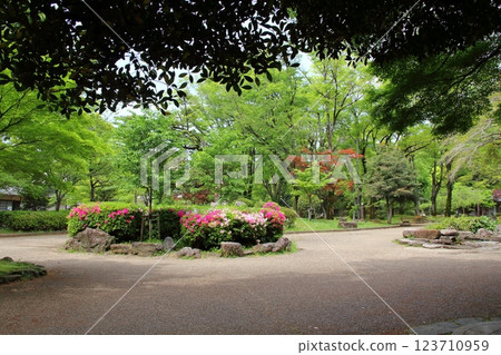 織田信長的春天的城下町 6 (岐阜公園) 123710959