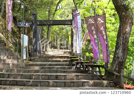 織田信長的春天的城下町 7 (岐阜公園) 123710960