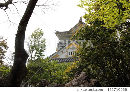 織田信長城下町的春天13（岐阜公園） 123710966