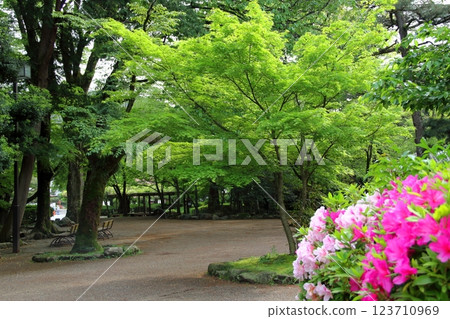 織田信長城下町的春天16（岐阜公園） 123710969