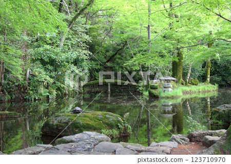 織田信長城下町的春天 17（岐阜公園） 123710970