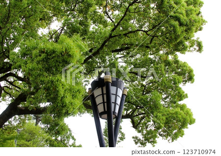 織田信長城下町的春天 21 (岐阜公園) 123710974