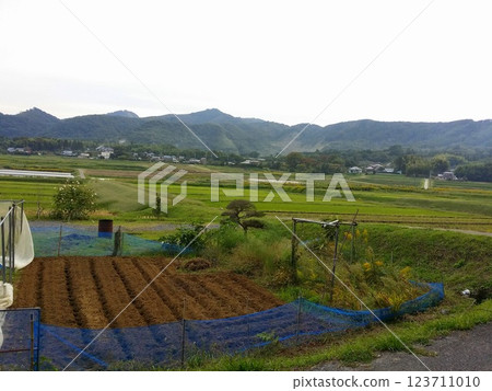 countryside countryside 123711010