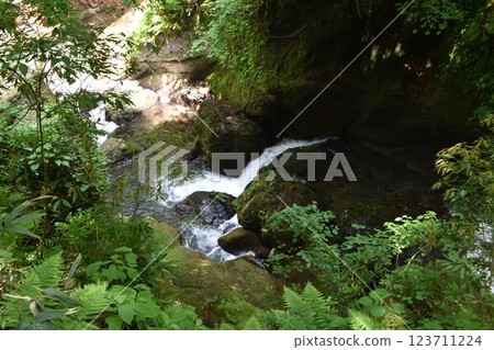 Sengankei (Kamiichi Town, Toyama Prefecture) 123711224