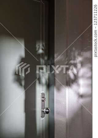 花園裡的樹葉的影子落在房間的門上 花園裡的樹葉的影子落在房間的門上 123711226