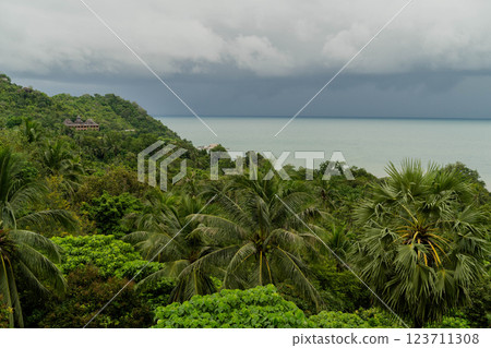 Lush jungle greenery meets a calm sea under an impressive sky on Koh Phangan, Thailand. 123711308