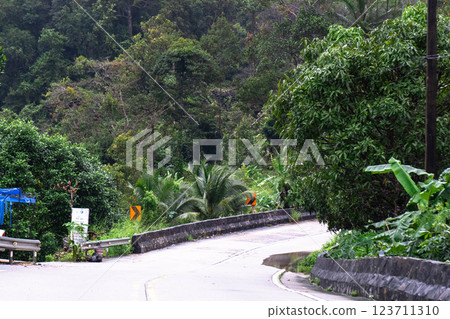 Discover the winding roads surrounded by vibrant jungle, beckoning for adventure and exploration. 123711310