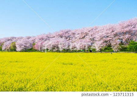 Gyodo Shrine Gyodo Shrine 123711315