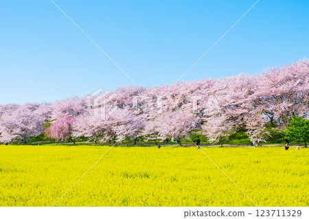 Gyodo Shrine Gyodo Shrine 123711329