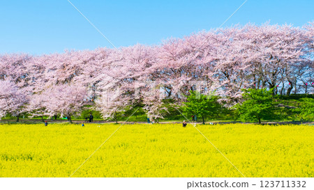 Gyodo Shrine Gyodo Shrine 123711332