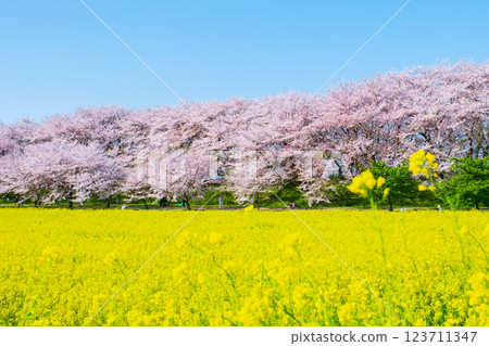 Gyodo Shrine Gyodo Shrine 123711347
