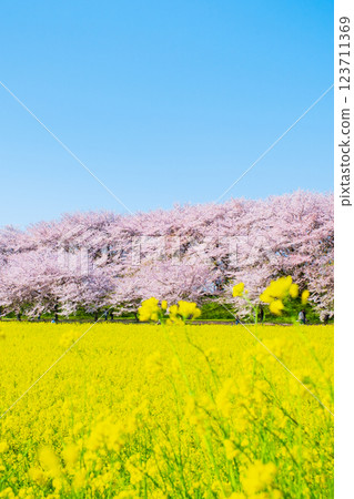 Gyodo Shrine 123711369