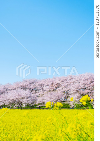 Gyodo神社 123711370