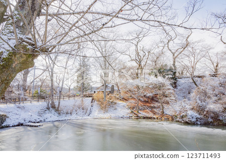 Fukushima: Tanagura Castle ruins (Kamegajo Park) in winter Fukushima: Tanagura Castle ruins (Kamegajo Park) in winter 123711493