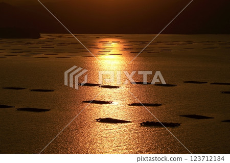 Oyster rafts floating on the sparkling Seto Inland Sea 123712184