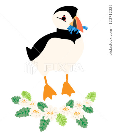 Bird Week Puffin Wild Bird Bird 123712325