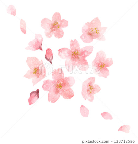 Watercolor illustration of cherry blossoms, buds and petals - Spring image 123712586