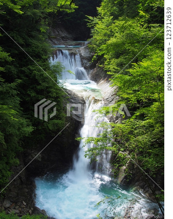 Nishizawa Valley and Nanakama Godan Falls in summer 123712639