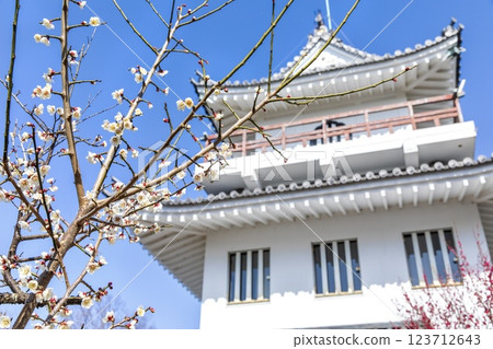 常滑市，大野城複製塔和梅花 123712643