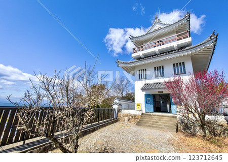 常滑市、城山公園、大野城複製塔 123712645